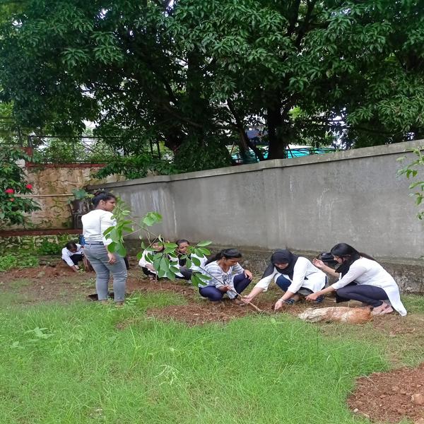 Tree Plantation Drive