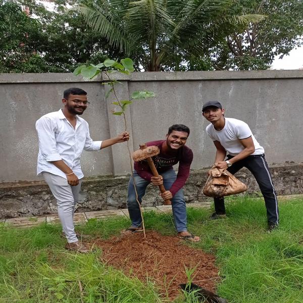 Tree Plantation Drive