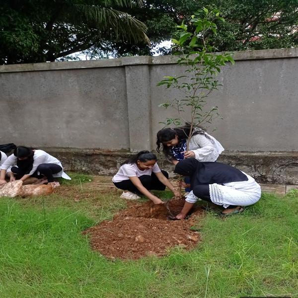 Tree Plantation Drive