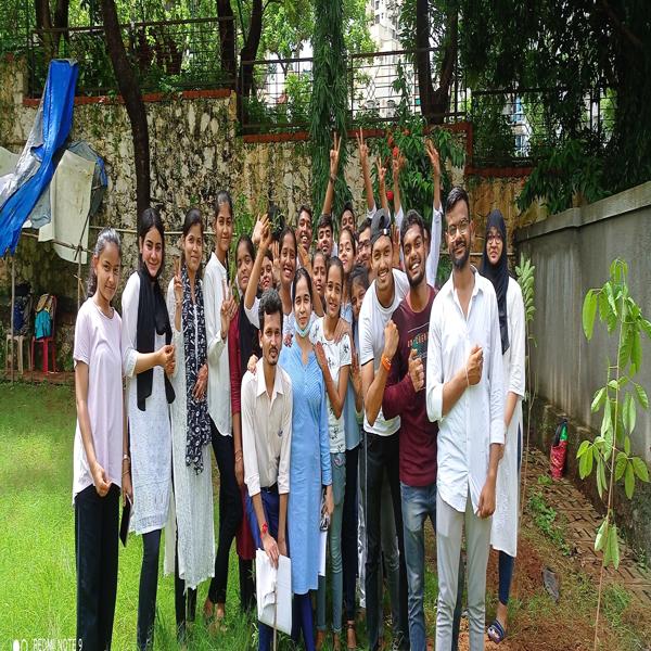 Tree Plantation Drive