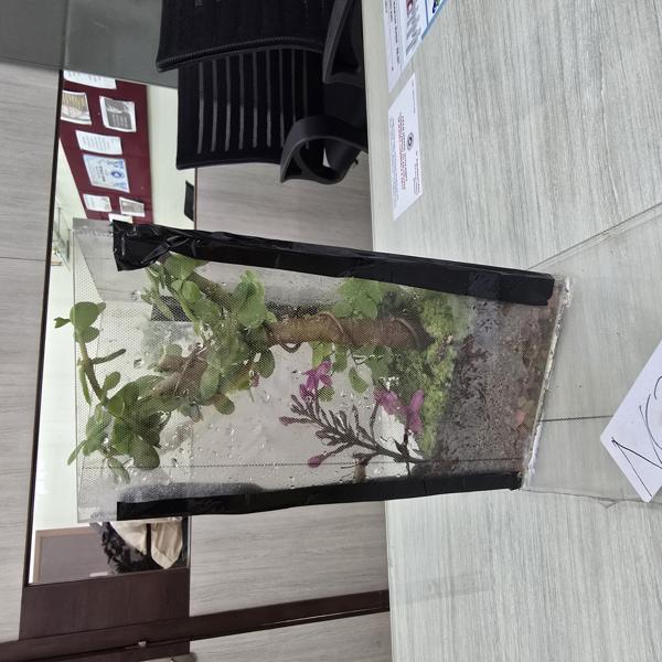 Best out of Waste Competition