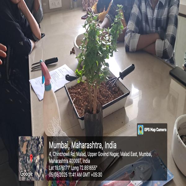 Workshop conducted on growing bonsai