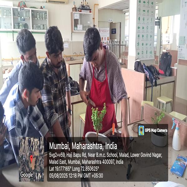 Workshop conducted on growing bonsai